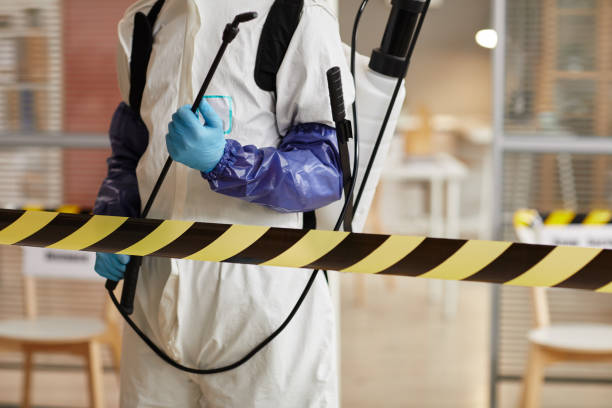 Professional Sewage Cleanup technician working in Hickman, TN